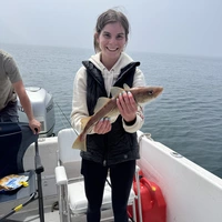 Looking for a roommate in Metro Area - Boston