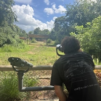 Looking for a roommate in North Nashville, East Nashville, South Nashville, Outer Nashville - Nashville