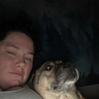 Looking for a roommate in Downtown TO - Toronto