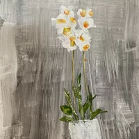 Looking for a roommate in Central SATX, North SATX, West SATX, East SATX, South SATX, Outer SATX - San Antonio