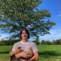 Looking for a roommate in Boston - Boston