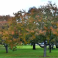 Room for rent in Pflugerville - North Austin, Austin