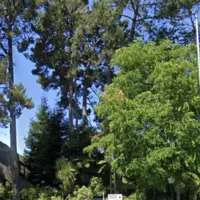 Room for rent in Santa Cruz - Santa Cruz, San Francisco