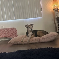 Room for rent in Echo Park - Central Los Angeles, Los Angeles