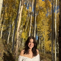 Looking for a roommate in Center Denver, North Denver, East Denver, West Denver, South Denver, Outer Denver - Denver