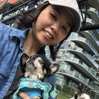 Looking for a roommate in Queens - New York
