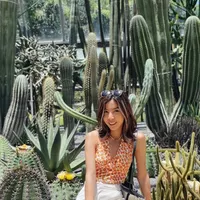 Looking for a roommate in Manhattan, Brooklyn, Queens, Staten Island, Jersey City / Hoboken - New York