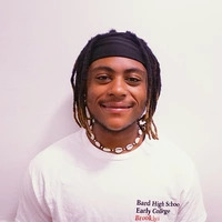 Looking for a roommate in Manhattan, Brooklyn, Queens, Staten Island, The Bronx, Jersey City / Hoboken - New York