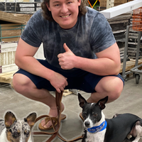 Looking for a roommate in Phoenix, NE Valley - Phoenix