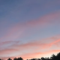 Looking for a roommate in Manhattan, Brooklyn - New York