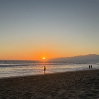 Looking for a roommate in Central Los Angeles, Westside / South Bay - Los Angeles