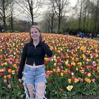 Looking for a roommate in Central Charlotte, South Charlotte, East Charlotte - Charlotte