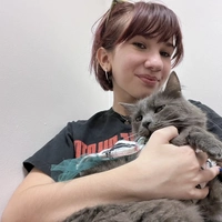 Looking for a roommate in East Orlando - Orlando