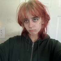 Looking for a roommate in Clearwater-St. Petersburg - Tampa