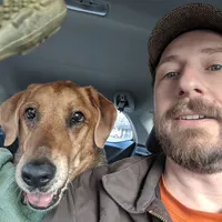 Looking for a roommate in NE Portland - Portland