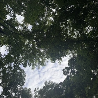 Looking for a roommate in Outer KCK - Kansas City