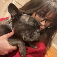 Looking for a roommate in Chicago Burbs - Chicago