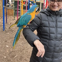 Room for rent in Mississauga - Mississauga, Toronto