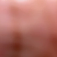 Looking for a roommate in Manhattan, Brooklyn, Queens, The Bronx - New York