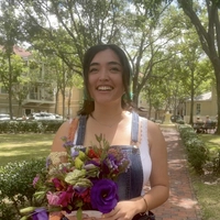 Looking for a roommate in Manhattan, Brooklyn, Queens - New York