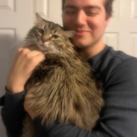 Looking for a roommate in Manhattan, Brooklyn - New York