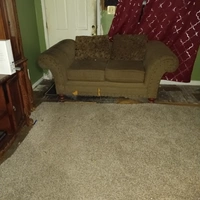 Looking for a roommate in Inner Loop, Se Houston, Sw Houston - Houston