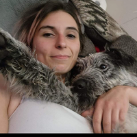 Looking for a roommate in Forth Worth - Dallas