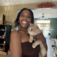 Looking for a roommate in Manhattan, Brooklyn - New York