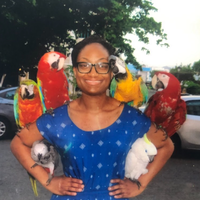 Looking for a roommate in Manhattan - New York