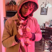 Looking for a roommate in Manhattan, Brooklyn - New York