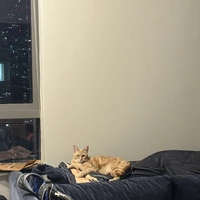 Looking for a roommate in Manhattan, Brooklyn, Queens - New York