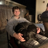 Looking for a roommate in Center Denver, North Denver, East Denver, West Denver, South Denver - Denver