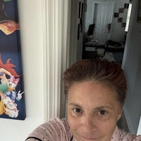 Looking for a roommate in South Tampa - Tampa