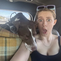 Looking for a roommate in San Gabriel Valley - Los Angeles