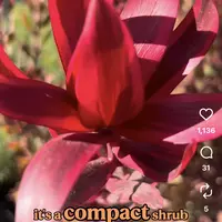 Looking for a roommate in North SD - San Diego