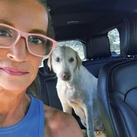 Looking for a roommate in North Austin - Austin