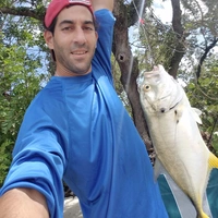 Looking for a roommate in Broward County, Palm Beach County - Miami