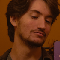 Looking for a roommate in Outer Portland - Portland
