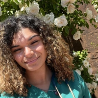 Looking for a roommate in Manhattan, Brooklyn, Queens, The Bronx - New York