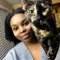 Looking for a roommate in East Van, North Shore Vancouver, Outer Vancouver, South Van, West Van, Downtown Van, Burnaby / New West - Vancouver