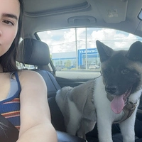 Looking for a roommate in Central Tampa, North Tampa, South Tampa, West Tampa, East Tampa, Clearwater-St. Petersburg - Tampa