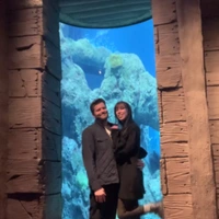 Looking for a roommate in Central Nashville - Nashville
