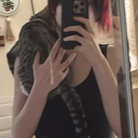 Looking for a roommate in Clearwater-St. Petersburg - Tampa