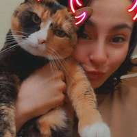 Looking for a roommate in Manhattan, Brooklyn - New York