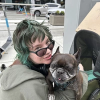 Looking for a roommate in Central Seattle, North Seattle, SE Seattle, Snohomish County - Seattle