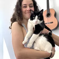 Looking for a roommate in Brooklyn, Queens - New York