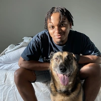 Looking for a roommate in Central Charlotte - Charlotte