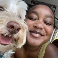 Looking for a roommate in Brooklyn, Queens, Jersey City / Hoboken - New York