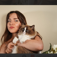 Looking for a roommate in Center Denver, North Denver, East Denver, West Denver, South Denver, Outer Denver - Denver