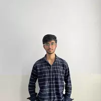 Looking for a roommate in Boston - Boston